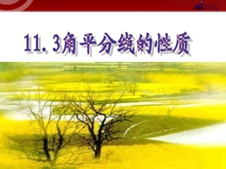 113角的平分线的性质1