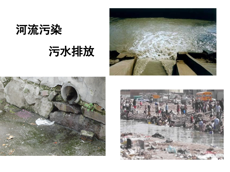 小学三年级科学上册怎样使水变清_第3页