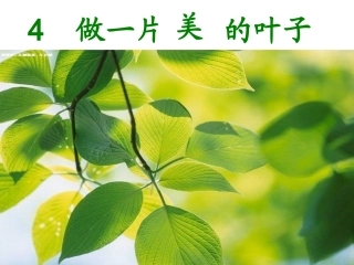 《做一片美的叶子》