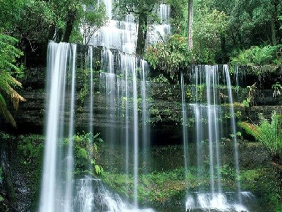 13《古诗两首》_第3页