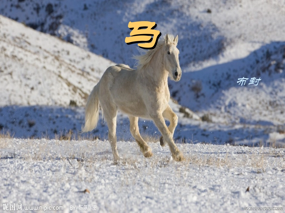 第29课《马》_第2页
