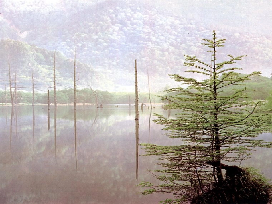 《10、松鼠与松果》_第1页