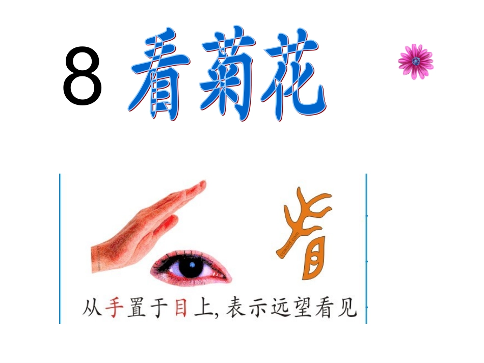 《看菊花》课件_第3页