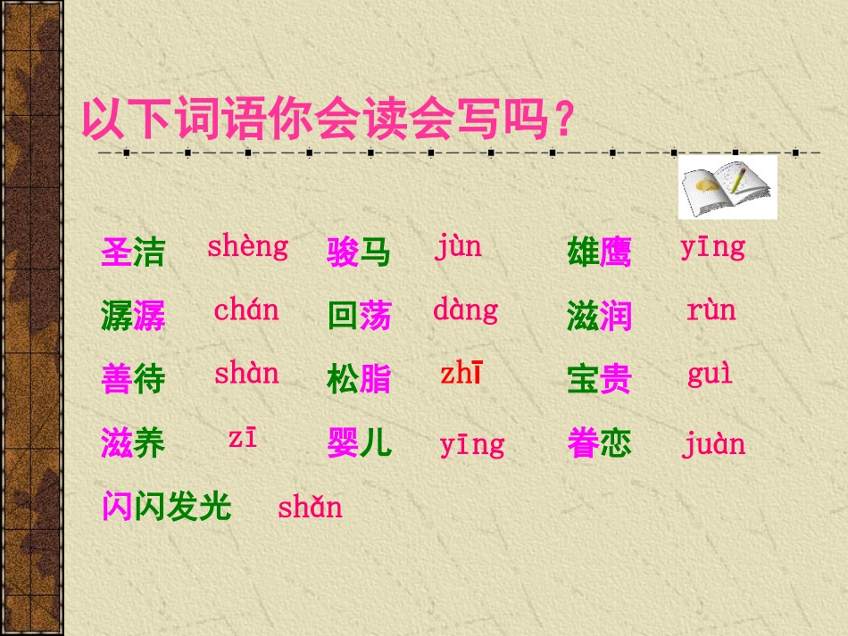 15这片土地是神圣的_第2页