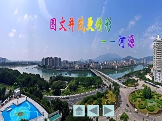 4.网络信息辨真伪