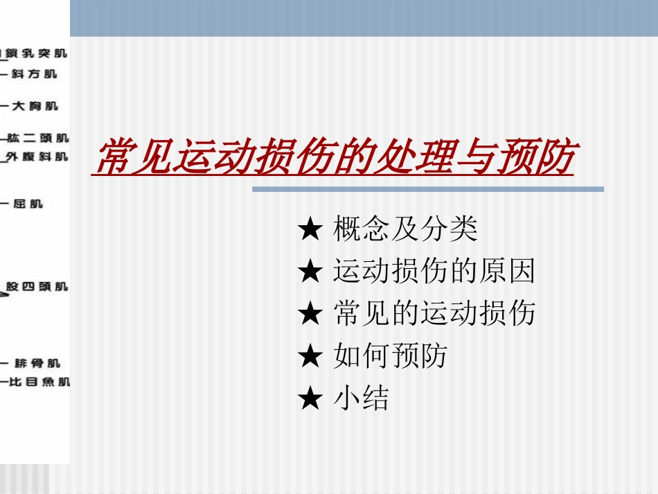 日常运动损伤的处理-(2)_第1页