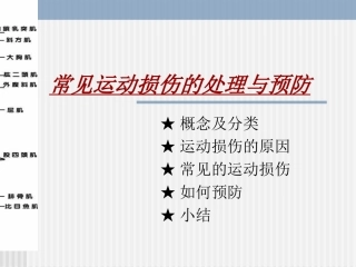 日常运动损伤的处理-(2)