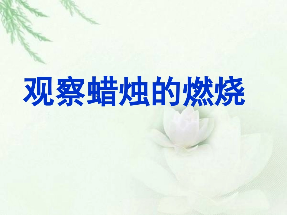 观察蜡烛的燃烧_第1页