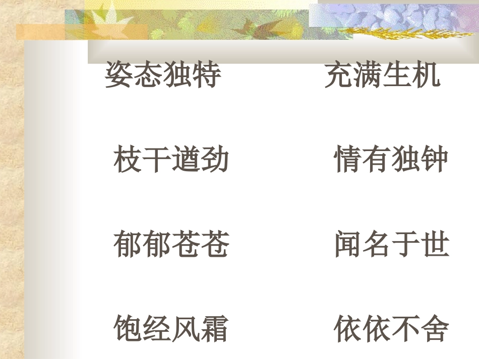 黄山奇松ppt_第2页