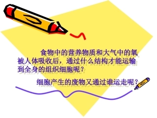 14流动的组织——血液