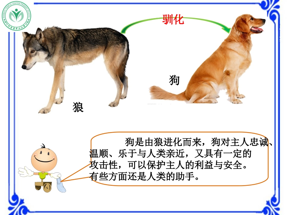 4动物的驯化_第3页