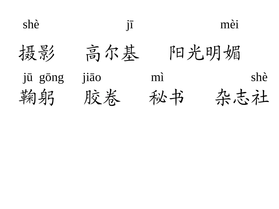 小摄影师PPT课件09_第2页