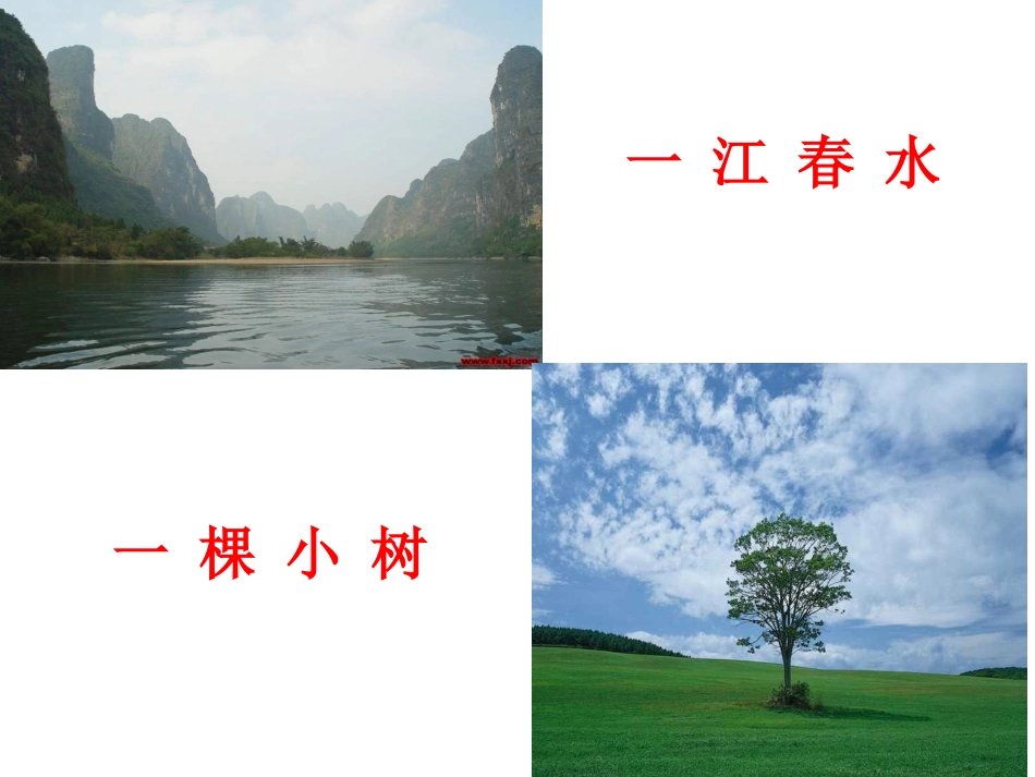 谈生命公开课_第3页