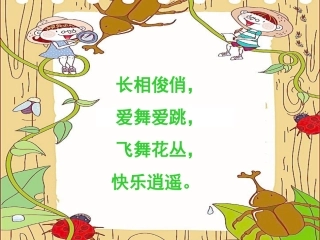 10.勤劳的蚂蚁