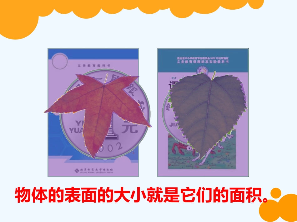 小学数学北师大2011课标版三年级北师大版三年级数学下册《什么是面积》_第3页