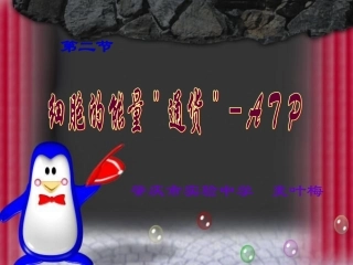 细胞的能量通货--ATP