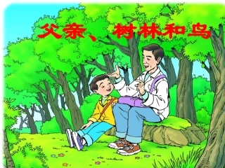 11.父亲、树林和鸟