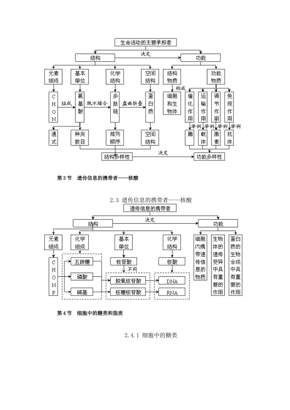 必修一第二章组成细胞的元素和化合物_第3页