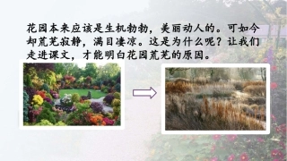 11荒芜了的花园