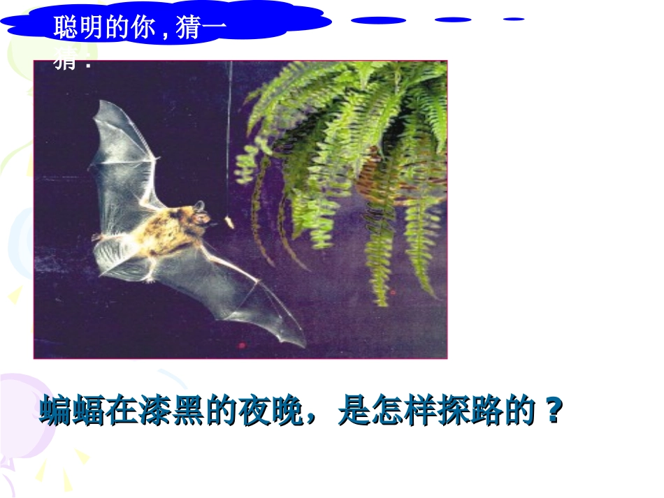 2.3声的利用_第2页