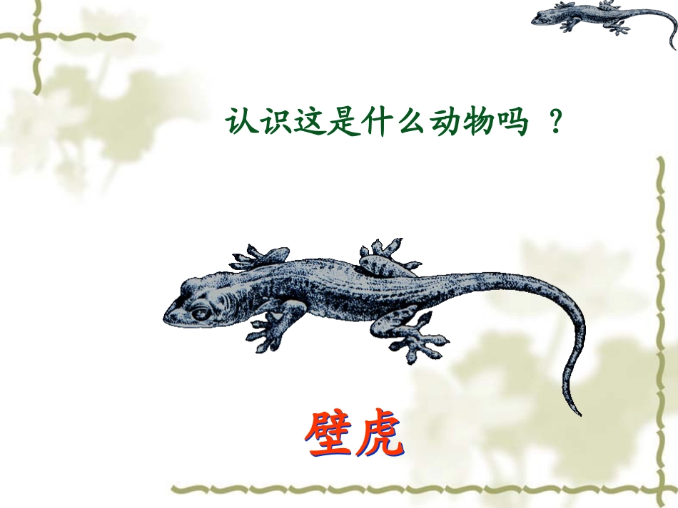 17小壁虎借尾巴课件_第2页