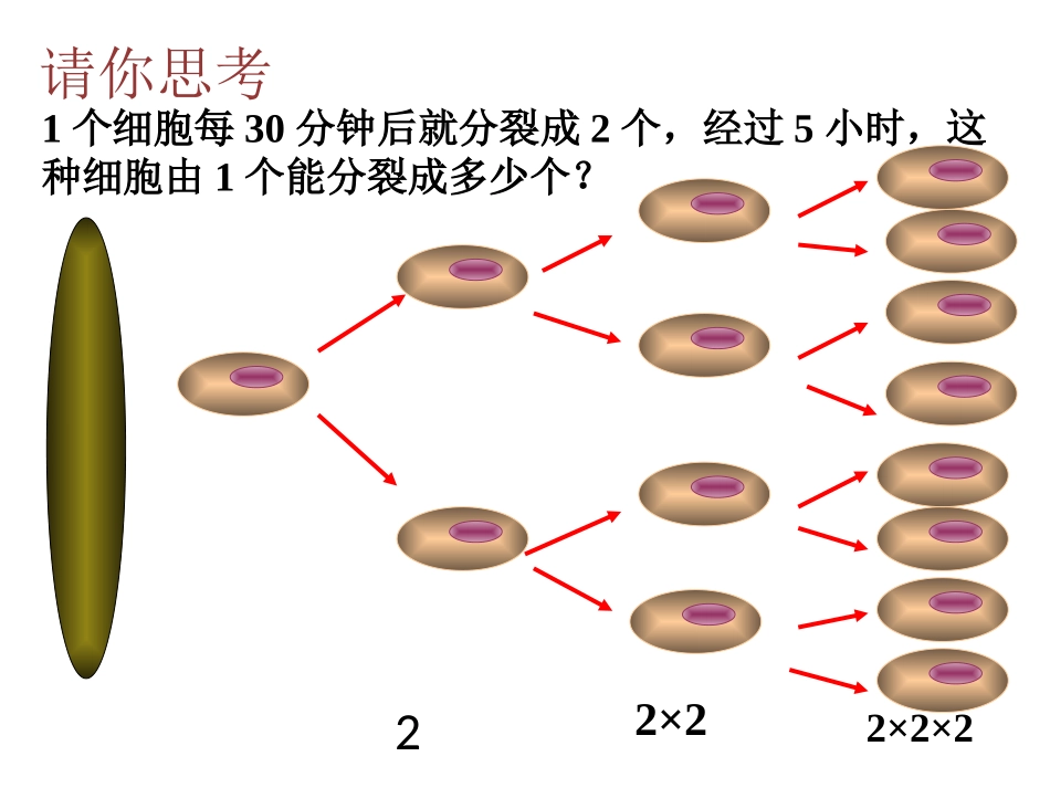 有理数的乘方-七年级数学上册-人教版-张艳明_第3页