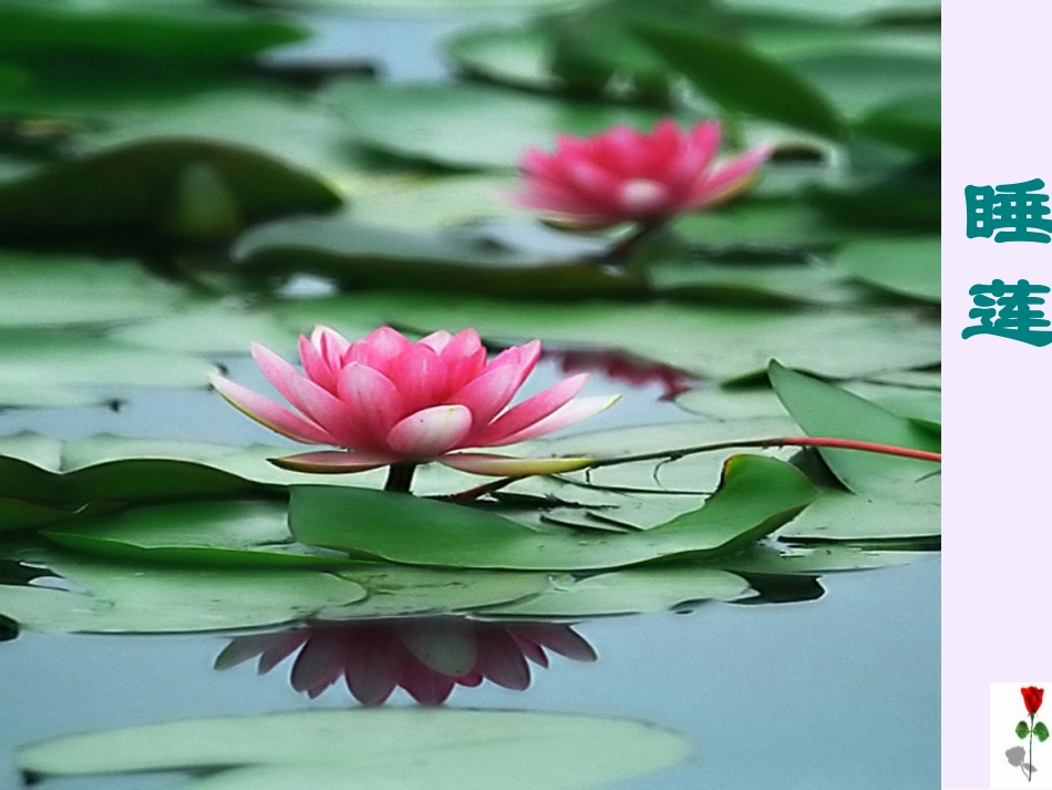 13花钟-(2)_第3页