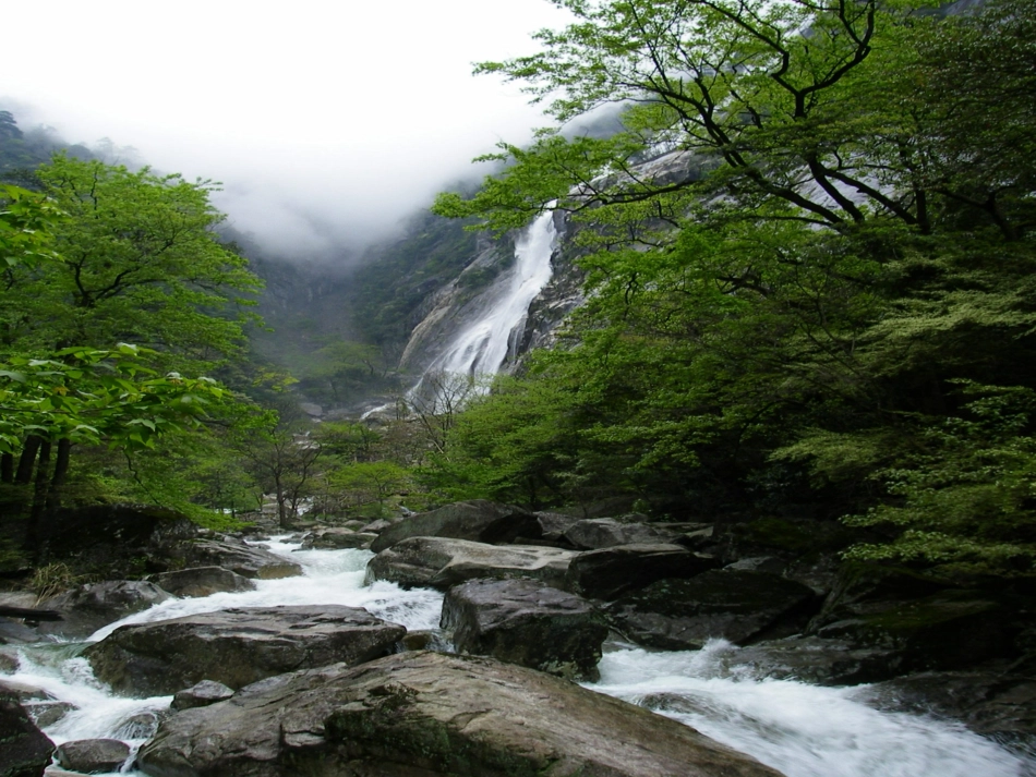 数学：32《代数式的值》课件(华东师大版七年级上)_第1页
