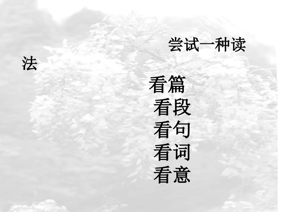 1.白杨礼赞 (6)_第2页