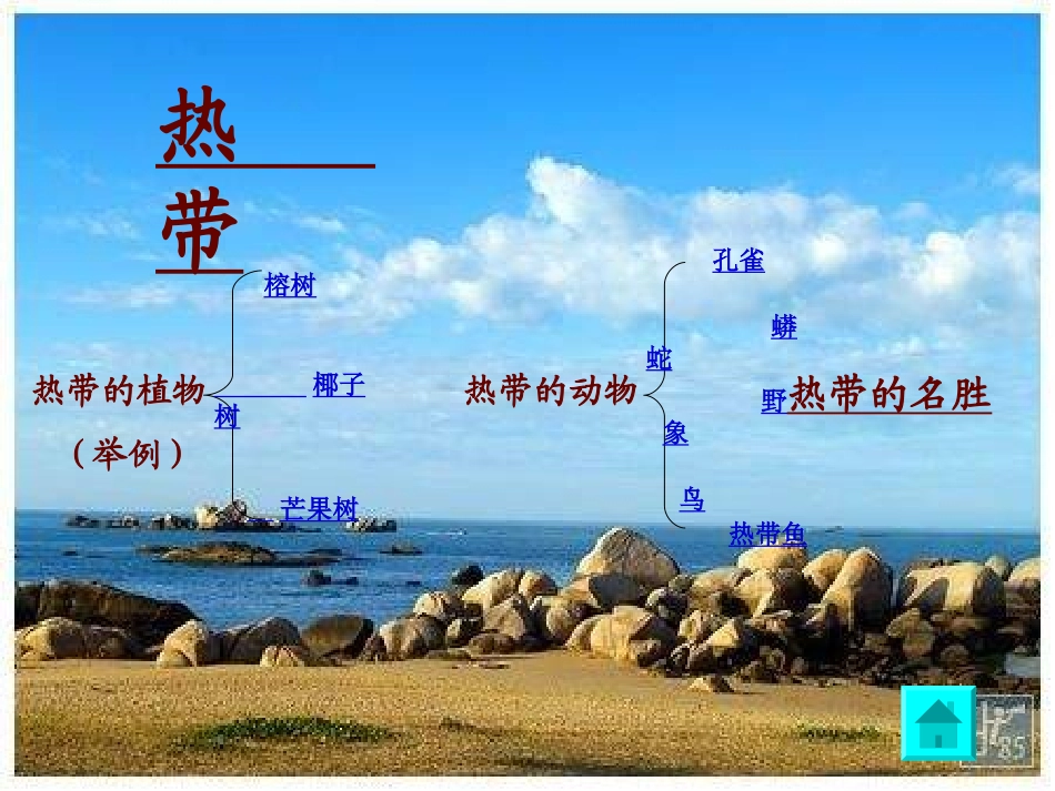 10.享受热带风光_第2页