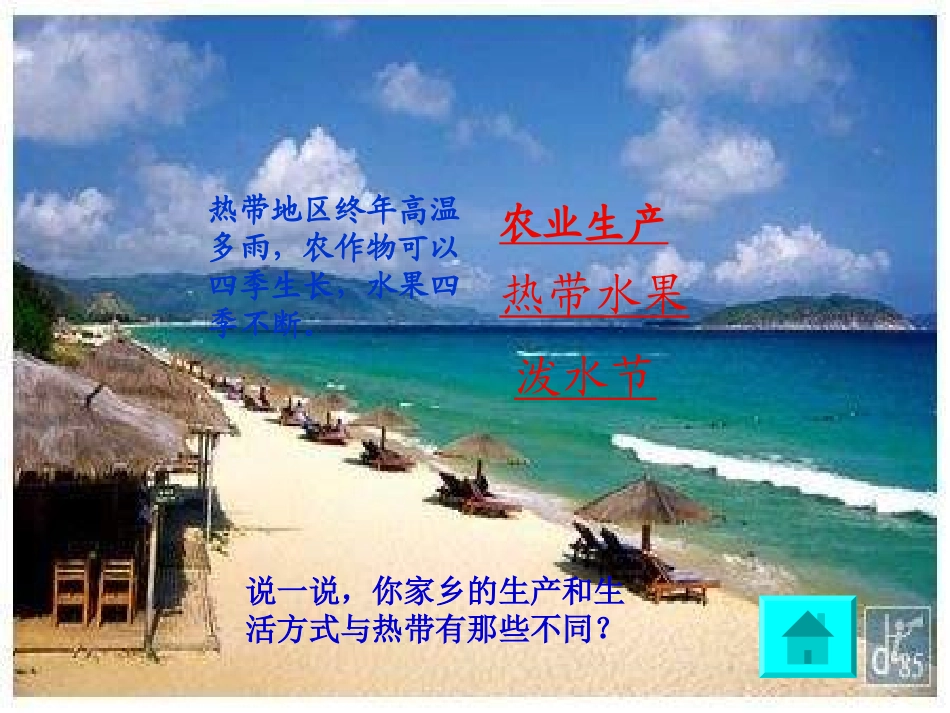 10.享受热带风光_第3页