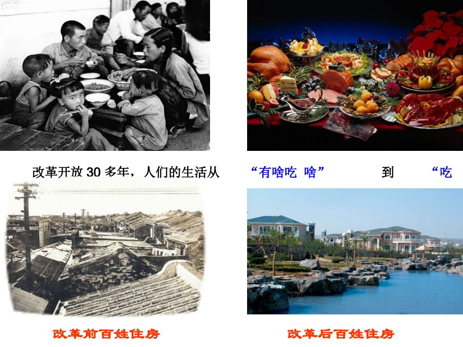 1.2富有活力的经济制度_第3页