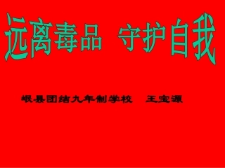 5.参与禁毒宣传活动-(3)