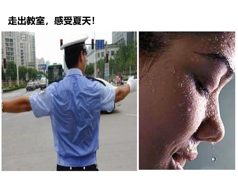 (2017年春季版)《夏天的活动》课件_第2页