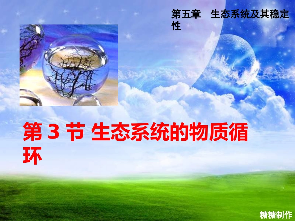 三生态系统中的物质循环_第1页