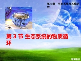 三生态系统中的物质循环