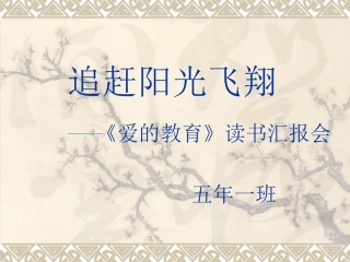 追赶阳光飞翔