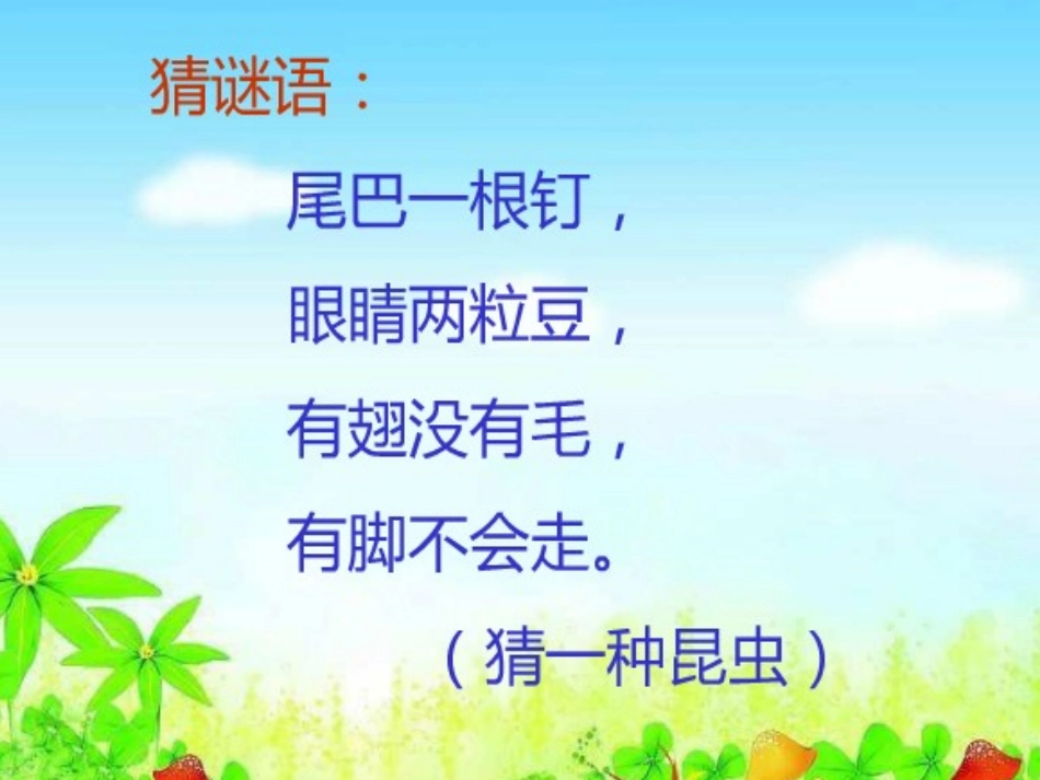 《昆虫的生活-形成认识》课件1_第2页