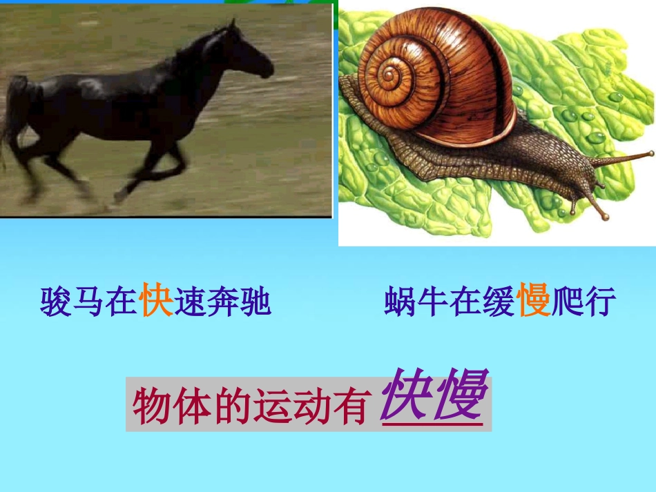 2.怎样比较运动的快慢-(3)_第3页