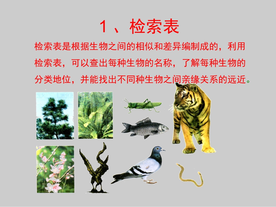 《第2节-生物检索表》课件3_第2页