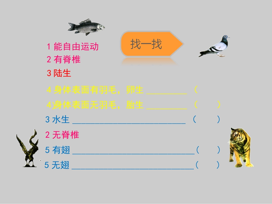 《第2节-生物检索表》课件3_第3页