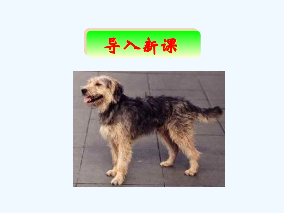 (部编)人教2011课标版一年级上册比尾巴.比尾巴_第1页