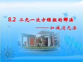 8.22加减消元法解二元一次方程组