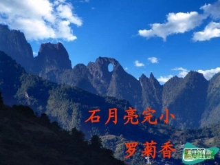 小学数学人教2011课标版二年级观察物体（-）