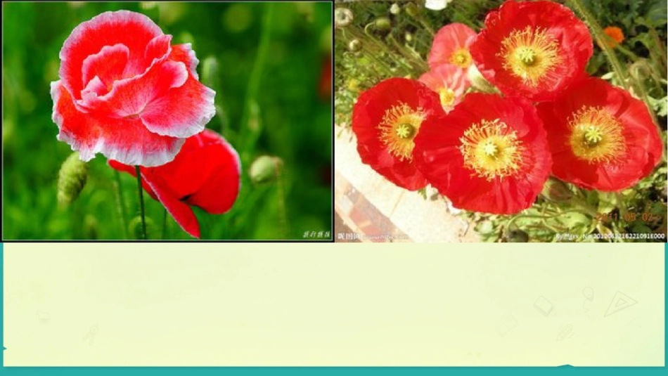 18.远离毒品_第2页