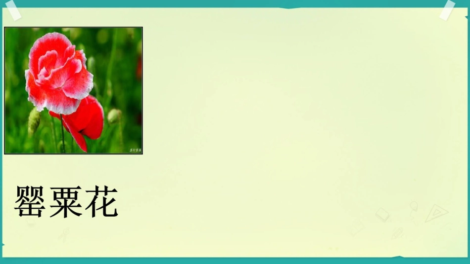 18.远离毒品_第3页