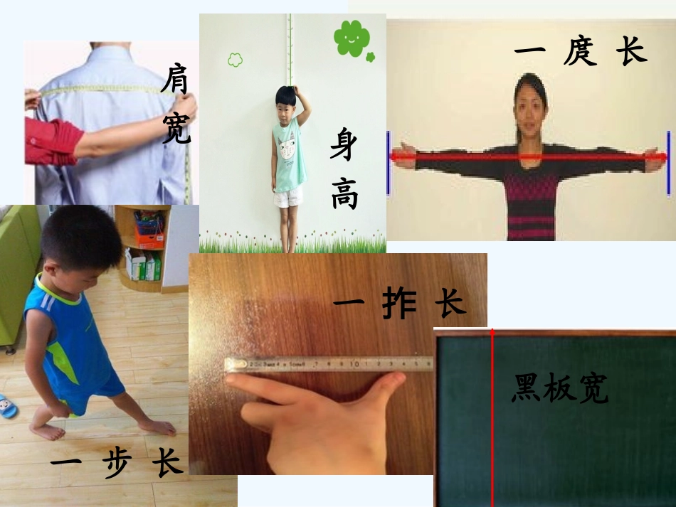小学数学人教2011课标版二年级量一量比一比 (2)_第3页