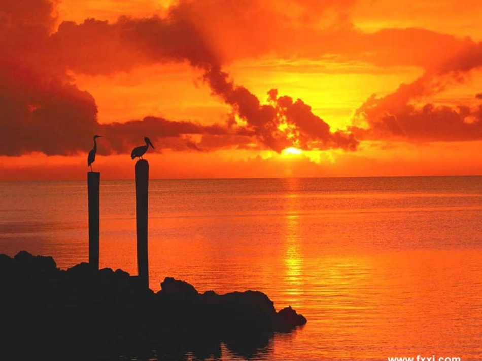 1.光的折射定律_第2页