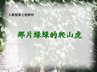 26、那片绿绿的爬山虎课件