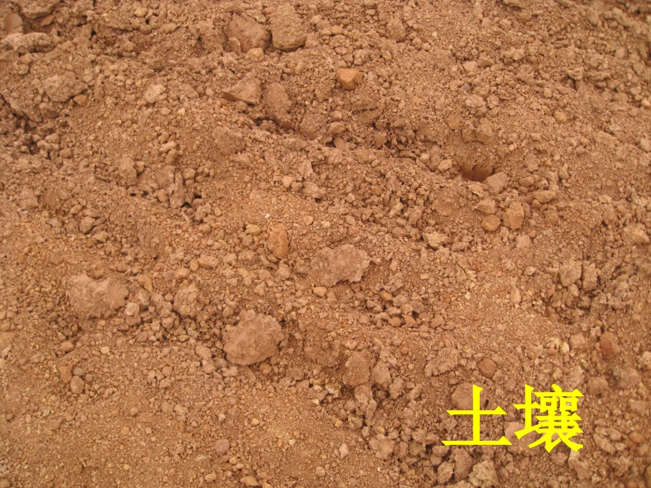 4土壤的保护-(2)_第2页